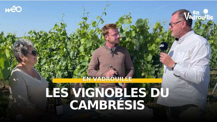 En Vadrouille - Les vignobles du Cambrésis