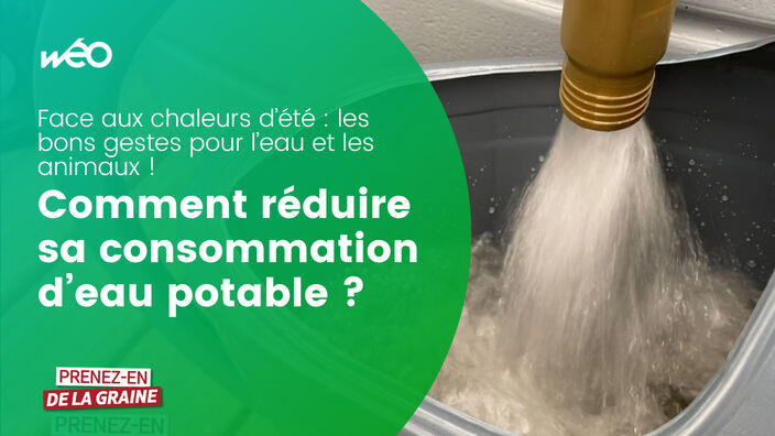 Comment économiser de l'eau potable ?