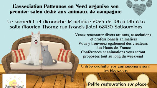Dans le salon de Pattounes 