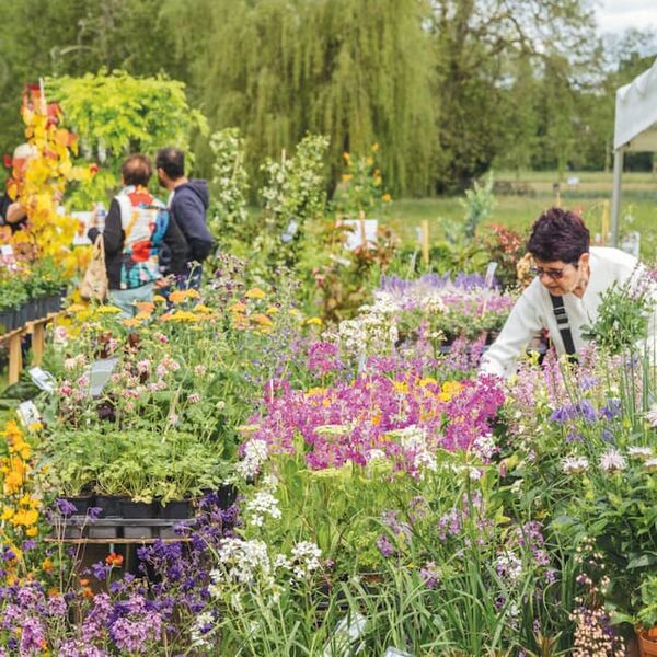 Entrées pour les Journées des Plantes de Chantilly (édition d'octobre)