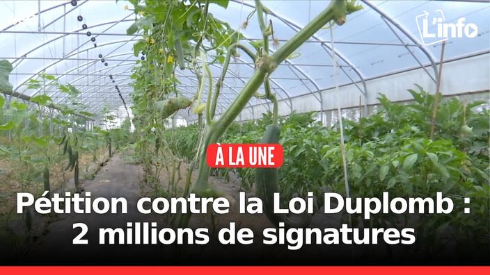 L'info des Hauts-de-France du mardi 29 juillet 2025