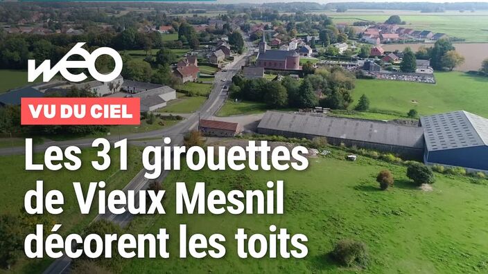 Vu du ciel : les 31 girouettes de Vieux Mesnil