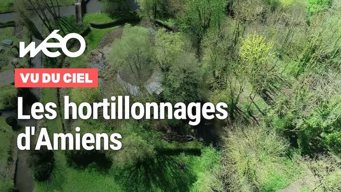 Vu du ciel : les hortillonnages d'Amiens