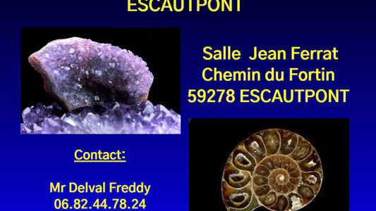 27ème salon international de Minéraux, Fossiles d'Esacutpont