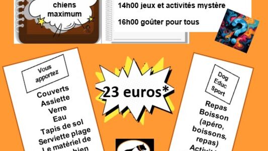 Escape game canin à la Chaussée Tirancourt et activités canines mystérieuses