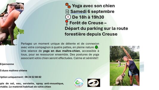 Yoga en duo maître-chien