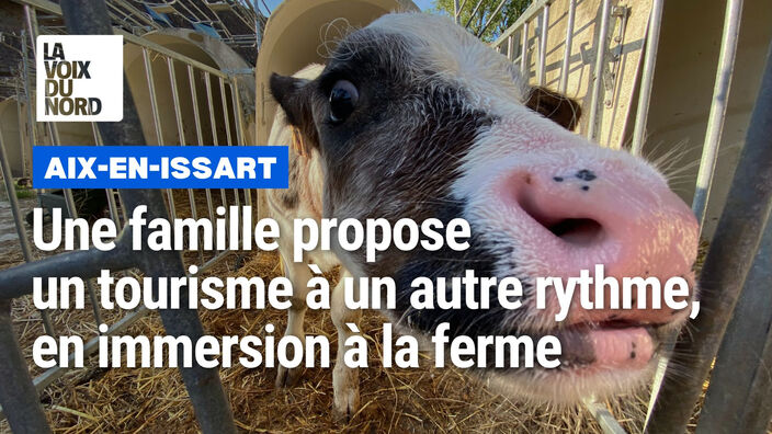 À Aix-en-Issart, une famille propose un tourisme à un autre rythme, en immersion à la ferme
