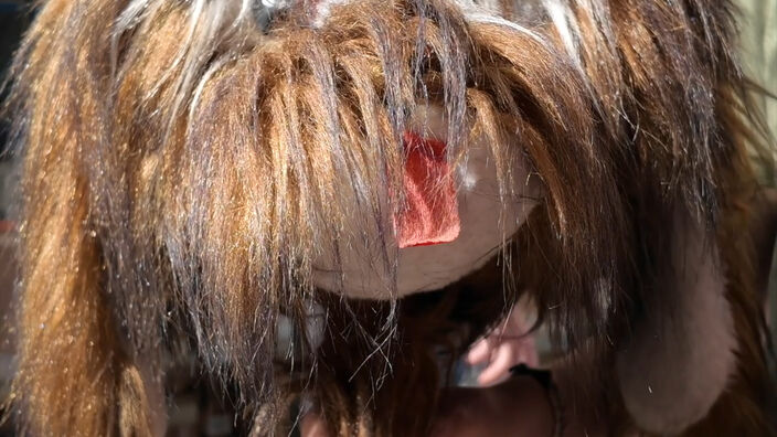 Braderie de Lille : Philibert en cadeau !