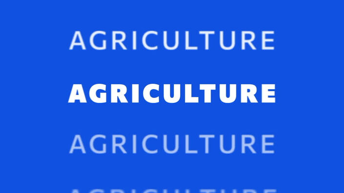 AGRICULTURE - Jingle Weo