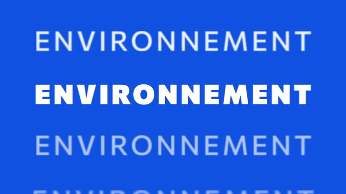 ENVIRONNEMENT - Jingle Weo