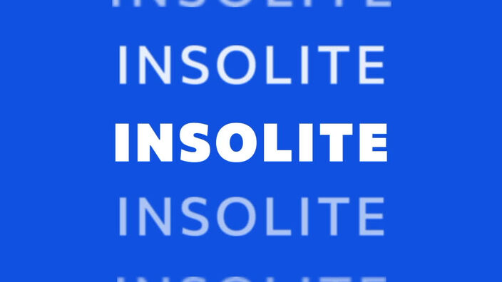 INSOLITE - Jingle Weo