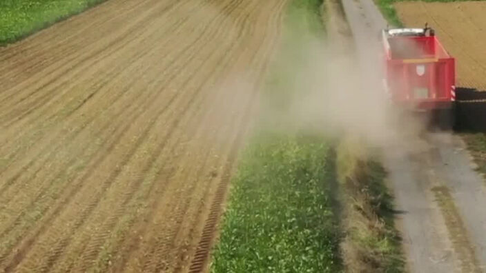 Vu du ciel : récolte de betteraves