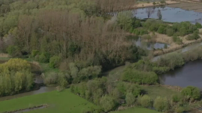 Vu du ciel : marais de Saint-Omer