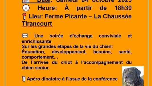 Du chiot au chien senior: abordons les grandes étapes de sa vie (santé; comportements, activités etc...)