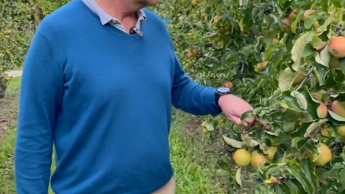Loi Duplomb : un échec pour les pomiculteurs