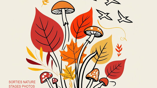 Les Rendez-vous d'Automne du Festival de l'Oiseau