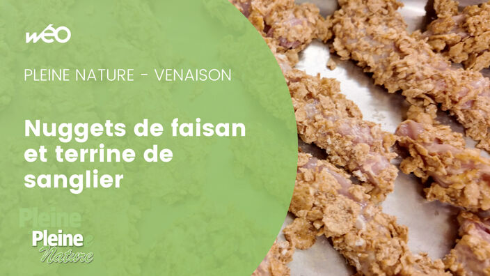 Pleine Nature - Nuggets de faisan et terrine de sanglier