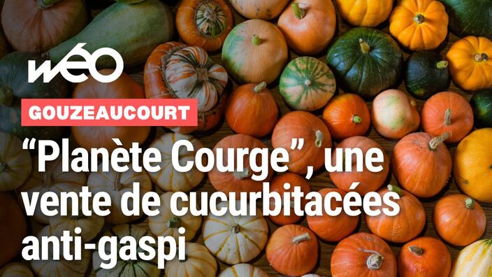 Planète courges à Gouzeaucourt 