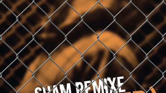 SHAM Remixe (L’Étranger) de Camus [aux Chantilly Follies]