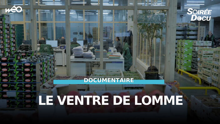 Le ventre de Lomme