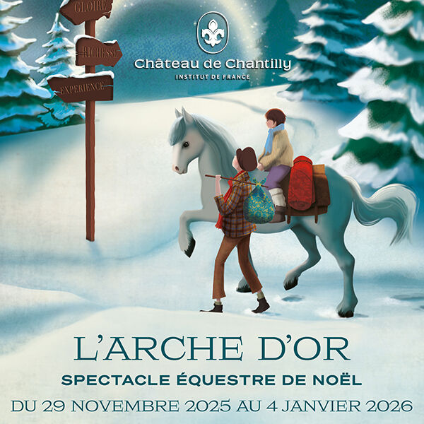 Château de Chantilly : spectacle équestre de Noël 