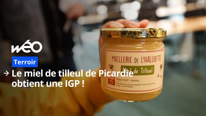 Le miel de tilleul de Picardie obtient une IGP