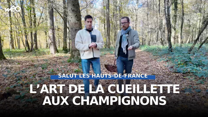 Balade et cueillette de champignons dans la forêt de Bois-l'Évêque