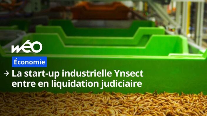 Poulainville : la ferme-usine d'Ynsect mise en liquidation judiciaire