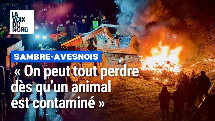 Opération escargot des agriculteurs entre Avesnes et Maubeuge