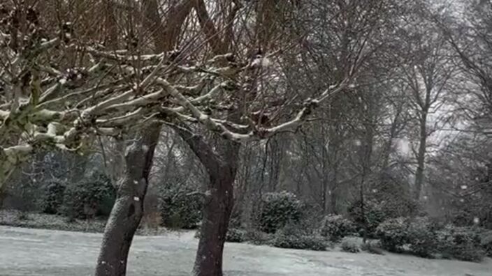 Il neige à Roubaix : le parc Barbieux est tout blanc
