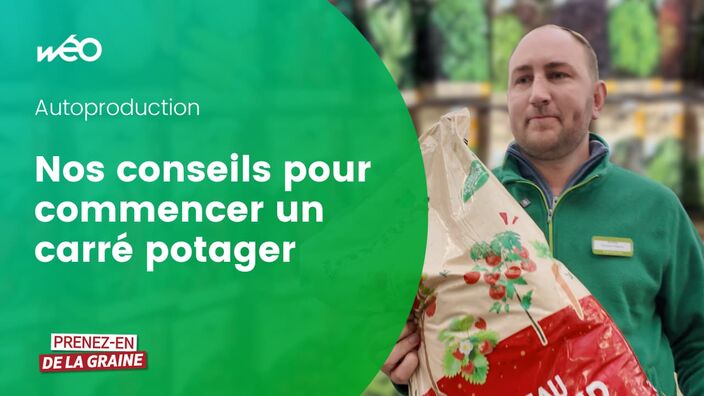 Comment se lancer facilement dans l'autoproduction de fruits et légumes ?